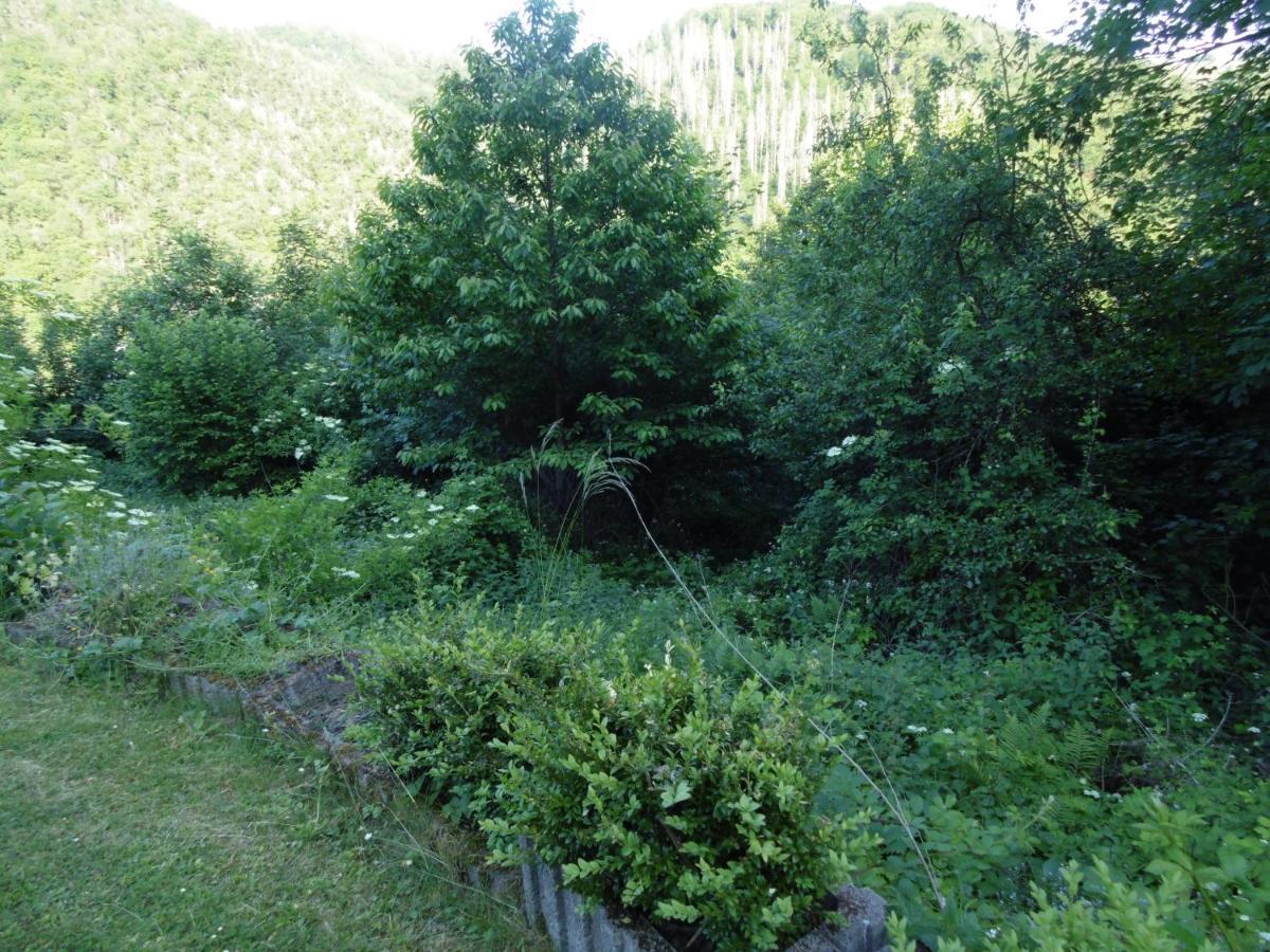 Ferienwohnung Schaefer Waldbreitbach Exteriér fotografie