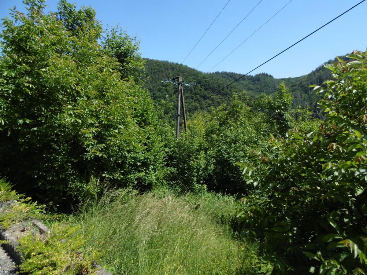 Ferienwohnung Schaefer Waldbreitbach Exteriér fotografie