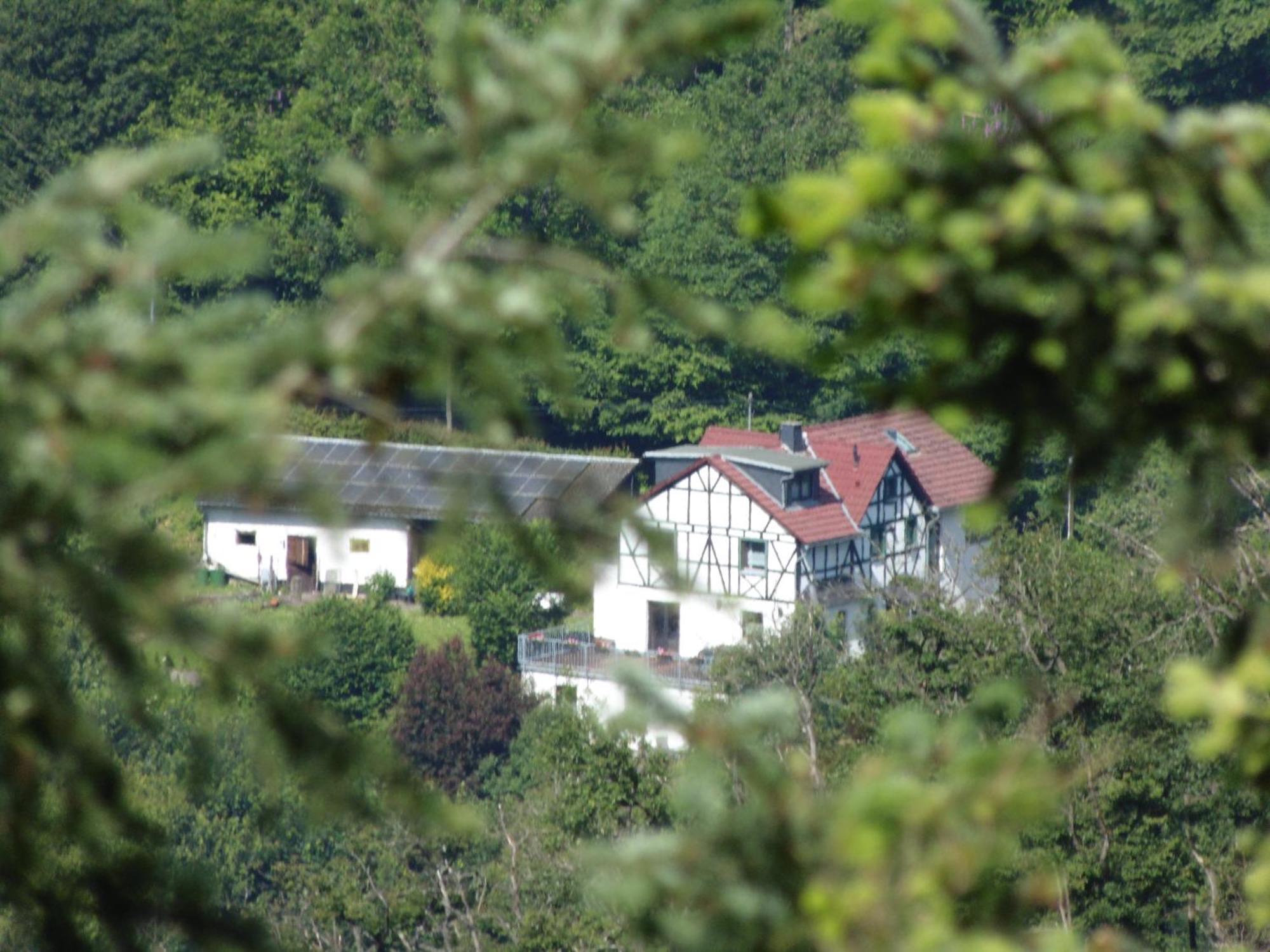 Ferienwohnung Schaefer Waldbreitbach Exteriér fotografie