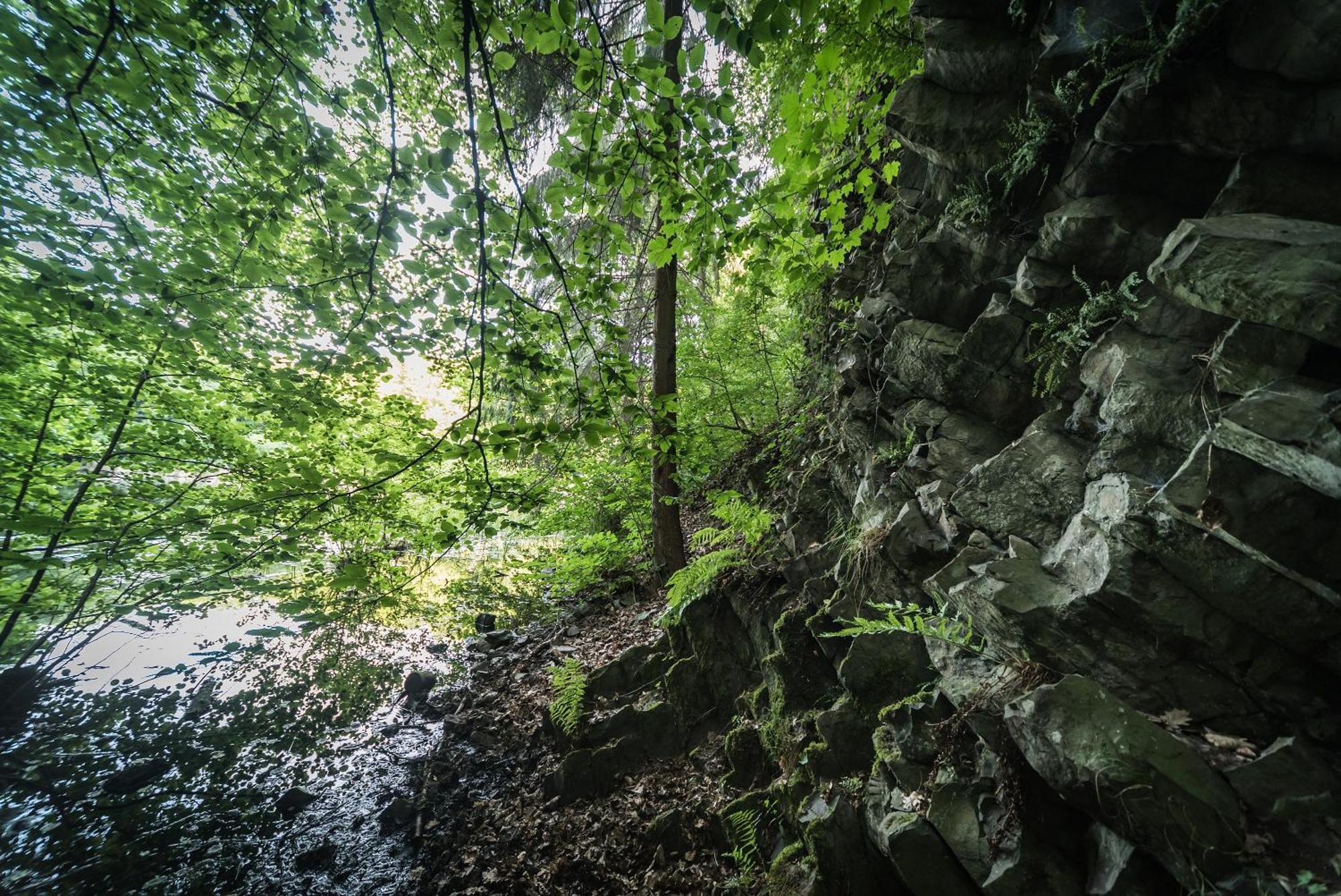 Ferienwohnung Schaefer Waldbreitbach Exteriér fotografie